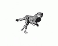 0001